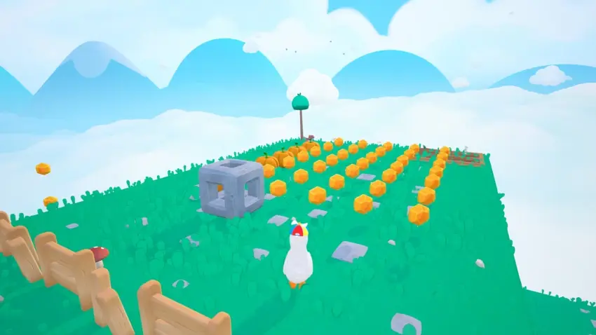 Dodo Duckie — تصاویر