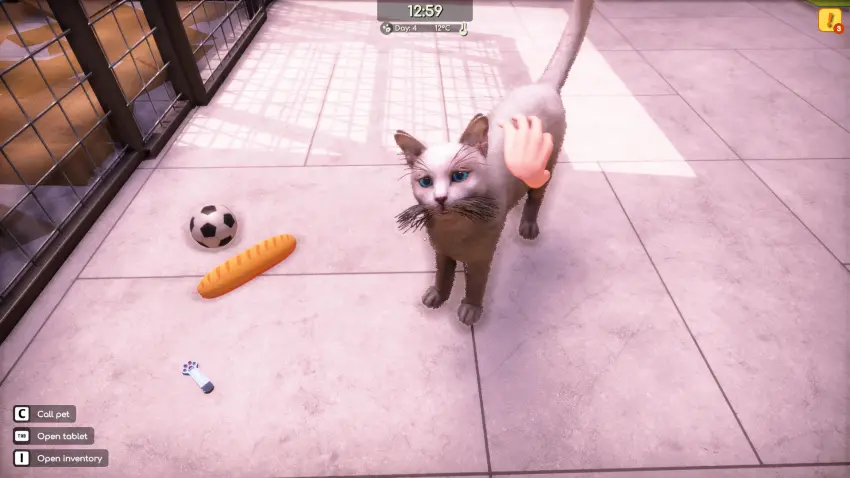 Animal Shelter 2 — وێنەکان