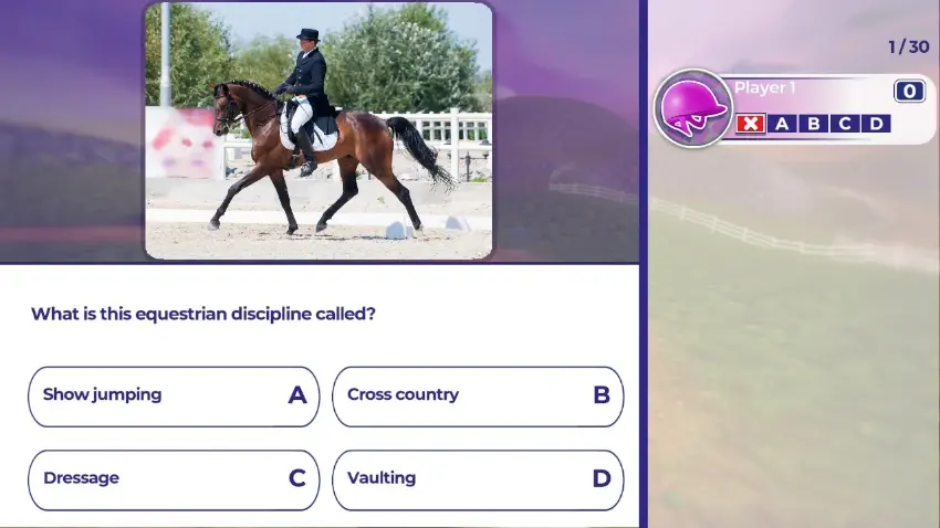 Equestrian Training  — Screenshots
