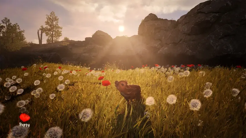 Adorable Adventures — Screenshots