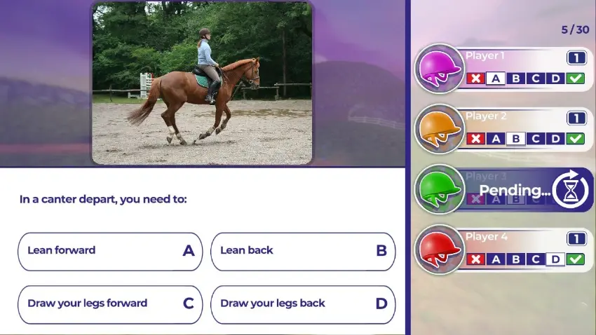 Equestrian Training  — Screenshots