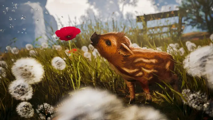 Adorable Adventures — Screenshots