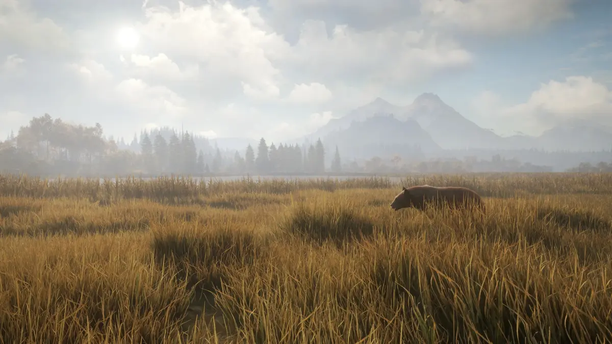 theHunter: Call of the Wild™ — وێنەکان