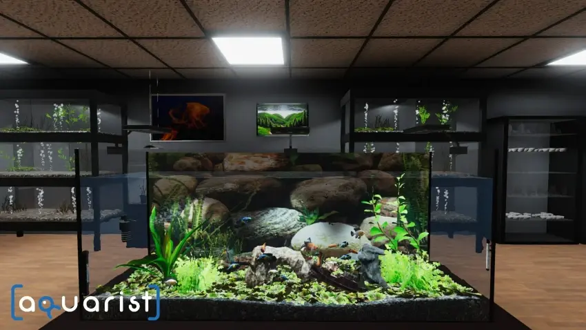 Aquarist — لقطات الشاشة