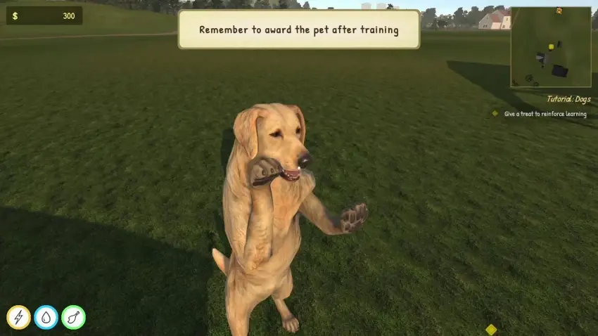 Animal Trainer Simulator — Screenshots