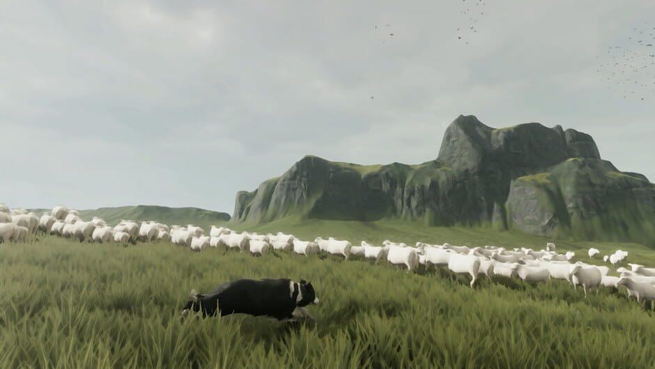 The Free Shepherd — تصاویر