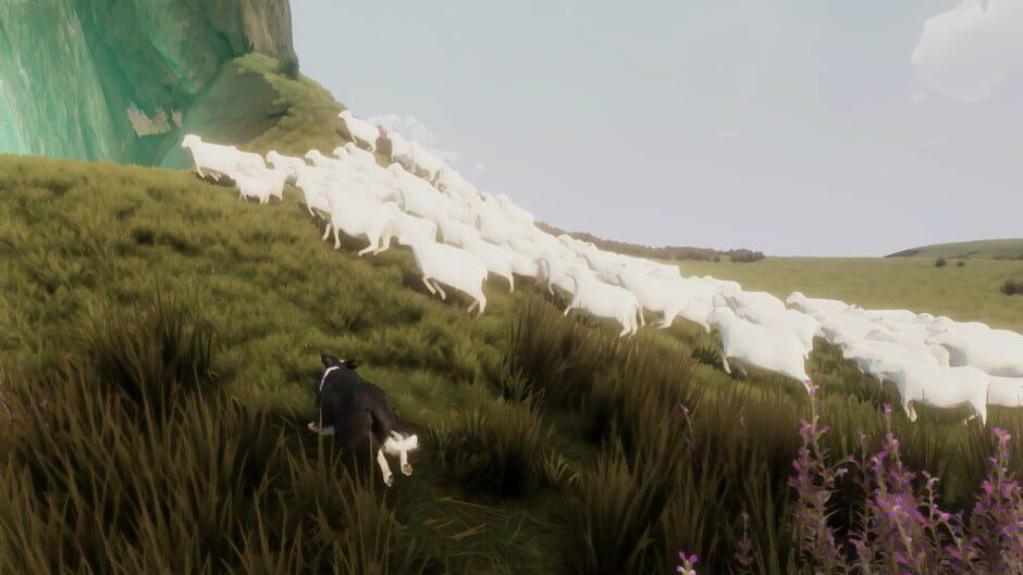 The Free Shepherd — تصاویر