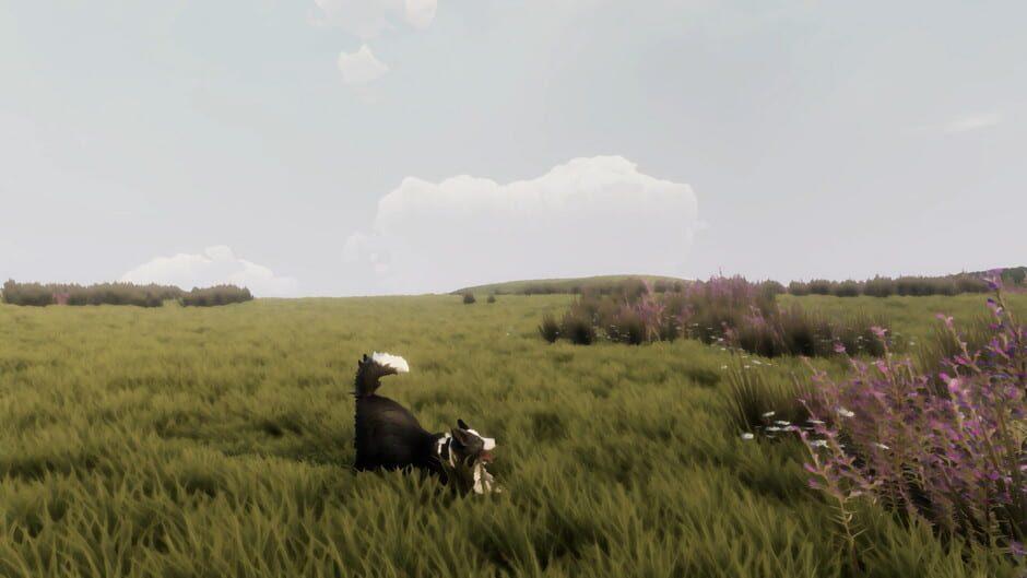 The Free Shepherd — تصاویر