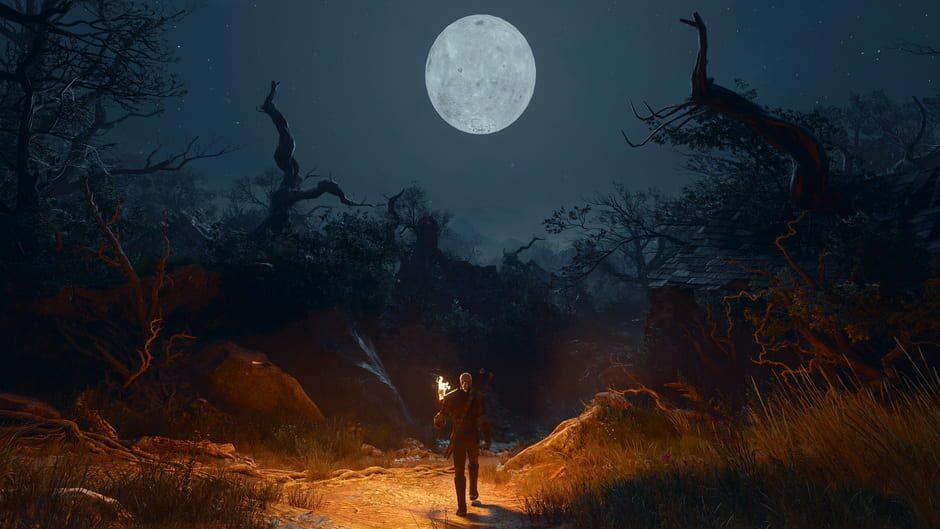 The Witcher 3: Wild Hunt - Songs of the Past — تصاویر