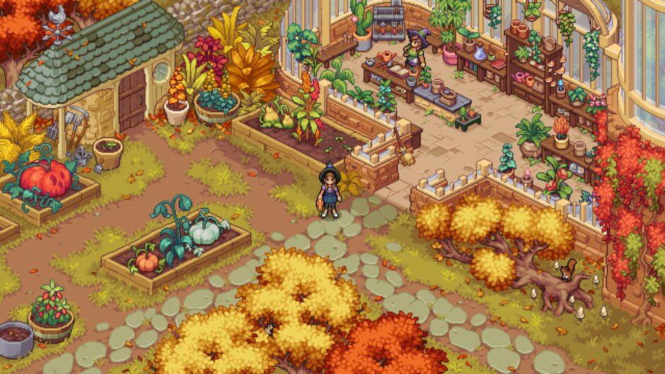 Witchbrook — تصاویر
