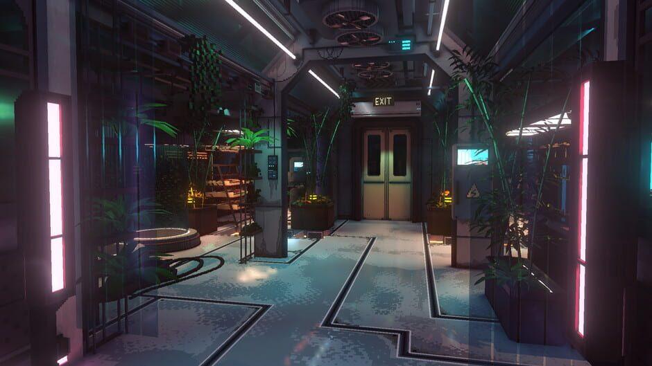 Nivalis Nights — وێنەکان