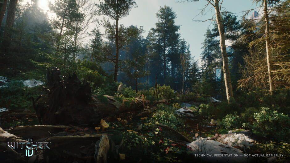The Witcher IV — Screenshots