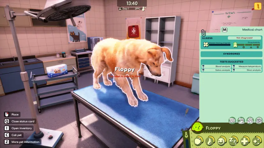Animal Shelter 2 — وێنەکان