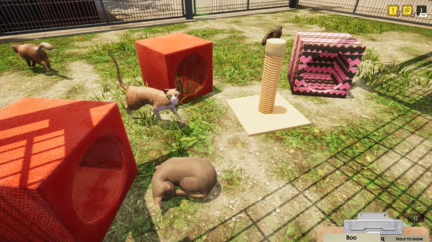 Animal Shelter — تصاویر