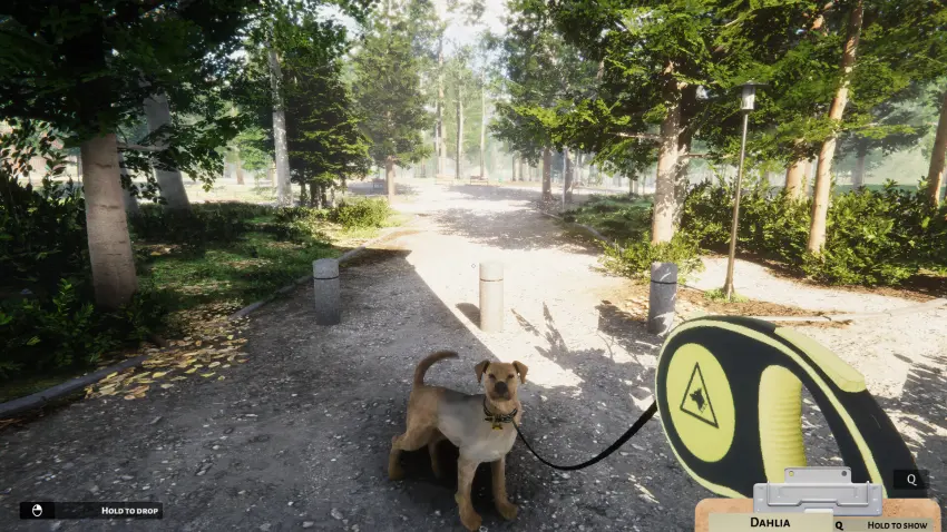 Animal Shelter — تصاویر