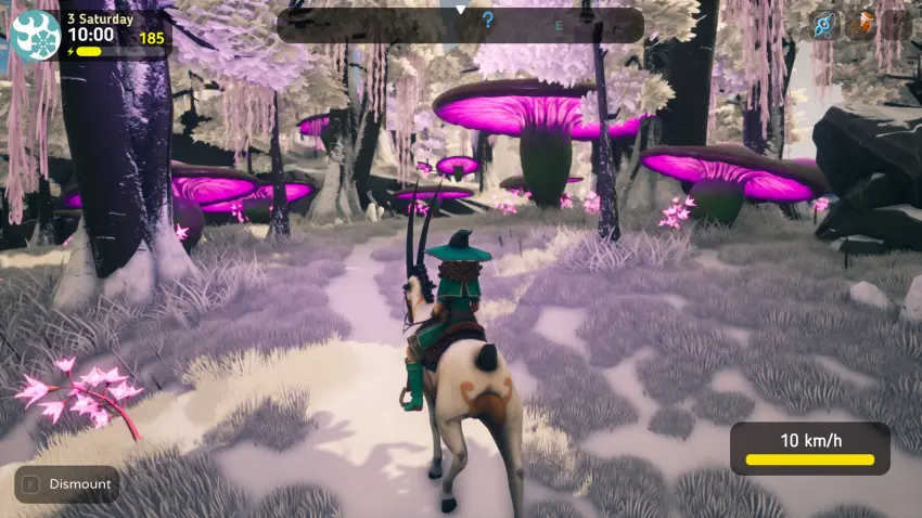 The Witch of Fern Island — وێنەکان