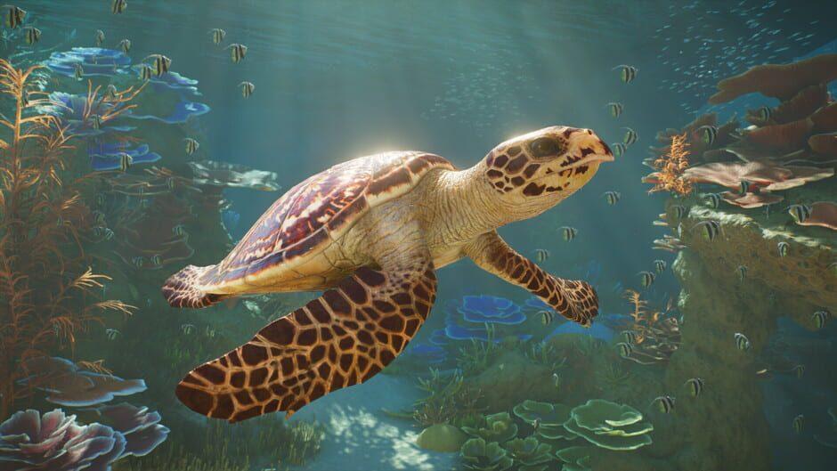 Planet Zoo 2 — Screenshots