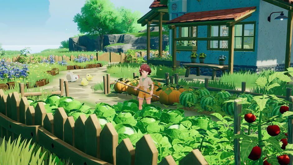 Starsand Island — Screenshots
